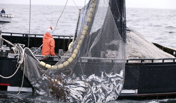 pesca v2